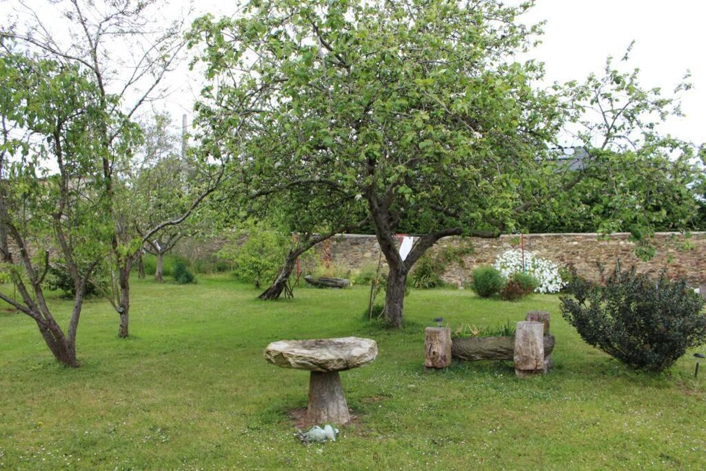 At El Manzano - Jardin & Bbq - Los Gayoles Rural Castropol Luaran gambar